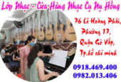 Lớp Nhạc Nụ Hồng dạy đàn guitar, piano, organ, trống jazz tại Gò Vấp