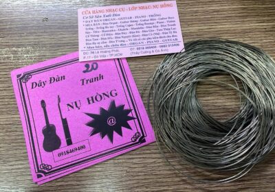 day-dan-tranh-2