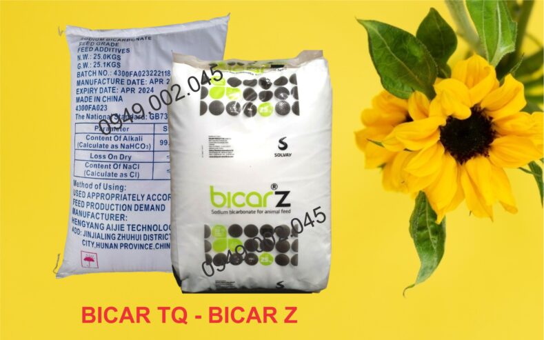 Sodium Bicarbonate – Soda lạnh tăng kiềm ao nuôi
