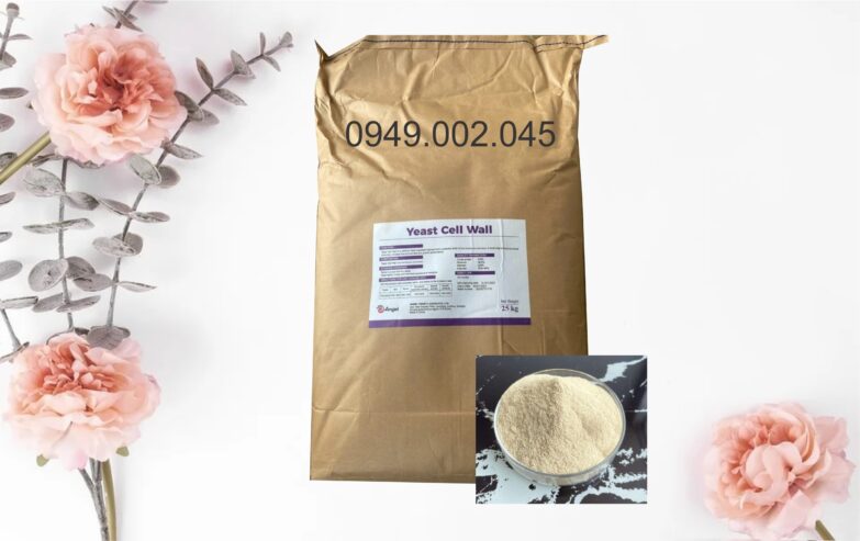 Yeast Cell Wall – Betaglucan tăng cường miễn dịch tôm cá