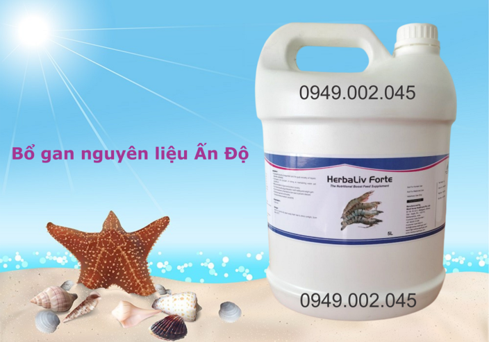 Herbaliv Forte – Bổ gan thảo dược cao cấp dạng nước cho tôm cá