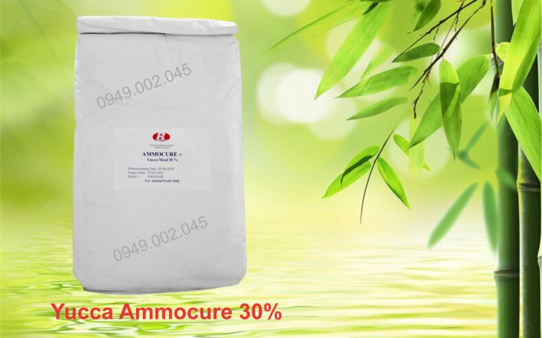 Yucca Ammocure 30 – Nguyên liệu Yucca bột hấp thu khí độc ao tôm cá