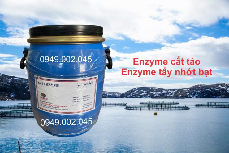 Superzyme – Enzyme cắt tảo, xử lý nhớt bám bạt ao tôm cá