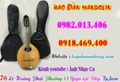 Mua bao, túi đàn mandolin, phụ kiện đàn mandolin tại Tp.Hồ Chí Minh ( Gò Vấp )