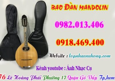 bao-dan-mandolin-1