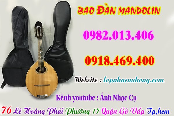 Mua bao, túi đàn mandolin, phụ kiện đàn mandolin tại Tp.Hồ Chí Minh ( Gò Vấp )