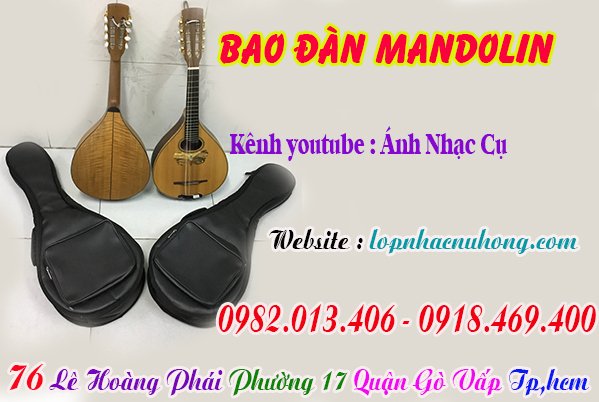 Mua bao, túi đàn mandolin, phụ kiện đàn mandolin tại Tp.Hồ Chí Minh ( Gò Vấp )