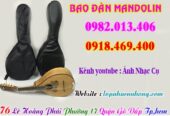 Mua bao, túi đàn mandolin, phụ kiện đàn mandolin tại Tp.Hồ Chí Minh ( Gò Vấp )