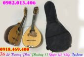 Mua bao, túi đàn mandolin, phụ kiện đàn mandolin tại Tp.Hồ Chí Minh ( Gò Vấp )
