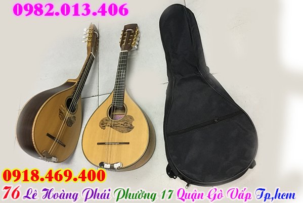 Mua bao, túi đàn mandolin, phụ kiện đàn mandolin tại Tp.Hồ Chí Minh ( Gò Vấp )