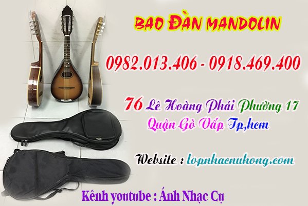 Mua bao, túi đàn mandolin, phụ kiện đàn mandolin tại Tp.Hồ Chí Minh ( Gò Vấp )