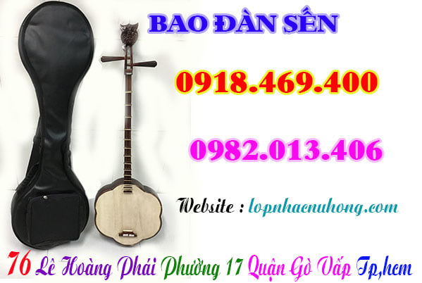Mua bao đàn sến, phụ kiện đàn sến tại Tp.Hồ Chí Minh ( Gò Vấp )