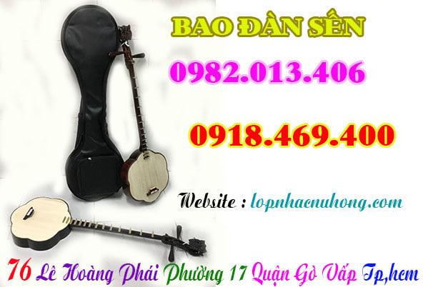 Mua bao đàn sến, phụ kiện đàn sến tại Tp.Hồ Chí Minh ( Gò Vấp )