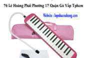 Mua kèn phím, kèn melodica tại Gò Vấp, Tphcm