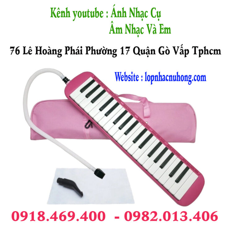 Mua kèn phím, kèn melodica tại Gò Vấp, Tphcm