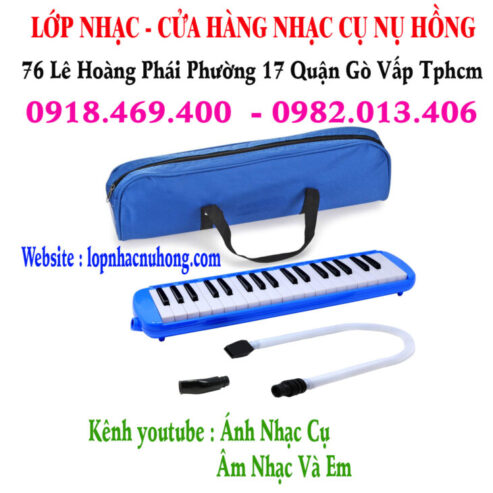 Mua kèn phím, kèn melodica tại Gò Vấp, Tphcm