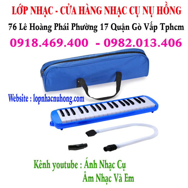 Mua kèn phím, kèn melodica tại Gò Vấp, Tphcm
