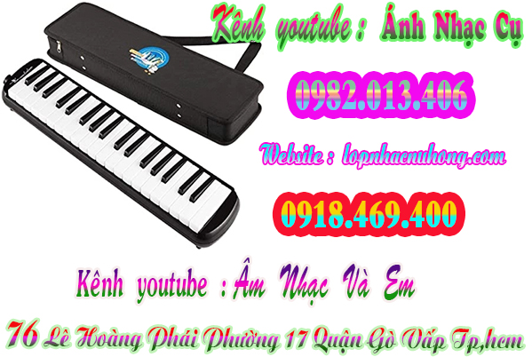 Mua kèn phím, kèn melodica tại Gò Vấp, Tphcm