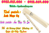 Mua sáo recorder tại Gò Vấp, Tp.hcm