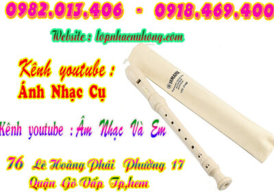 recorder-yamaha-1