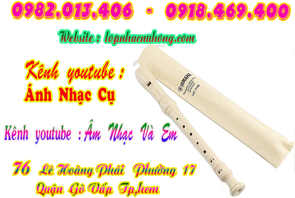 Mua sáo recorder tại Gò Vấp, Tp.hcm