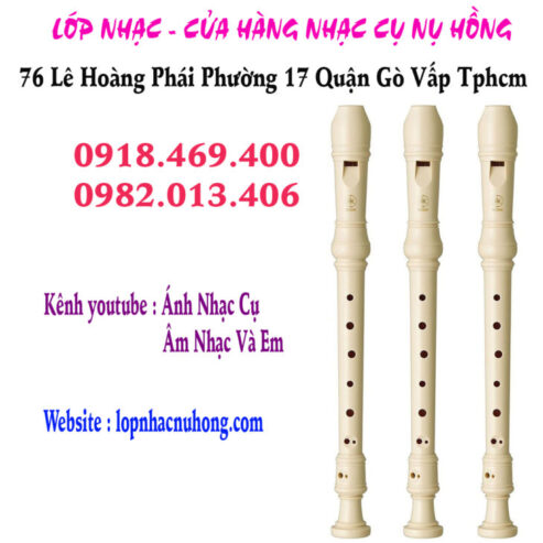 Mua sáo recorder tại Gò Vấp, Tp.hcm