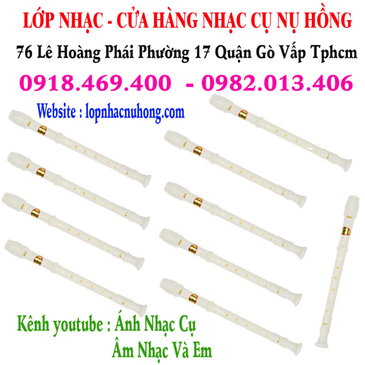 Mua sáo recorder tại Gò Vấp, Tp.hcm