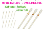 Mua sáo recorder tại Gò Vấp, Tp.hcm
