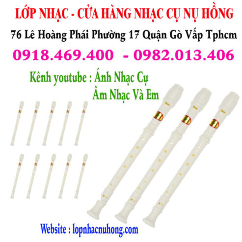 Mua sáo recorder tại Gò Vấp, Tp.hcm