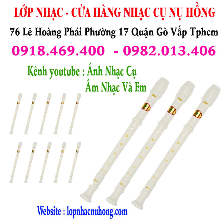 Mua sáo recorder tại Gò Vấp, Tp.hcm