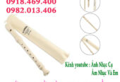 Mua sáo recorder tại Gò Vấp, Tp.hcm