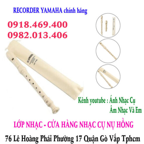 Mua sáo recorder tại Gò Vấp, Tp.hcm